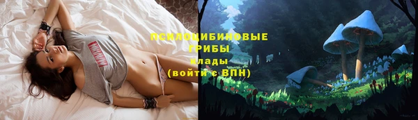 МДПВ Зерноград